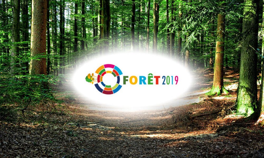 Forêt2019 – съвместно заседание